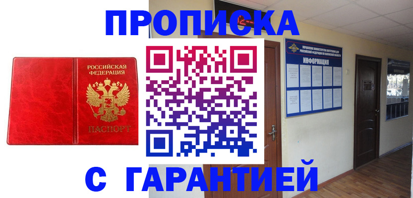 прописка для школы в Камышлове